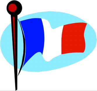 France Flag Sticker / Decal 2