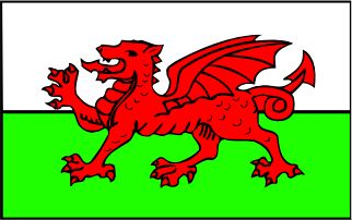 Wales Flag Sticker / Decal