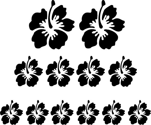 Hibiscus Flower Kit, any colour