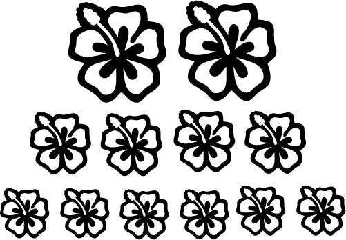 Hibiscus Flower Kit (c), any colour