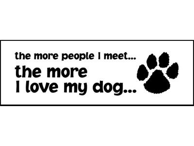 Custom Bumper sticker - Choose your own text