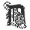 D - Tiger car sticker