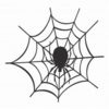 Spiders Web car sticker