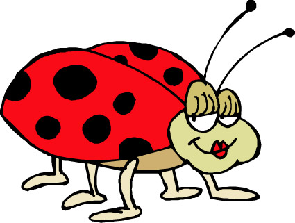 Sexy Ladybug (Ladybird)