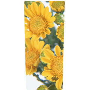 Wheelie Bin Stickers - Design 15